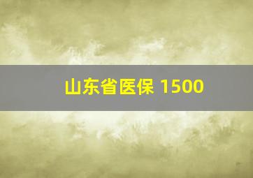 山东省医保 1500